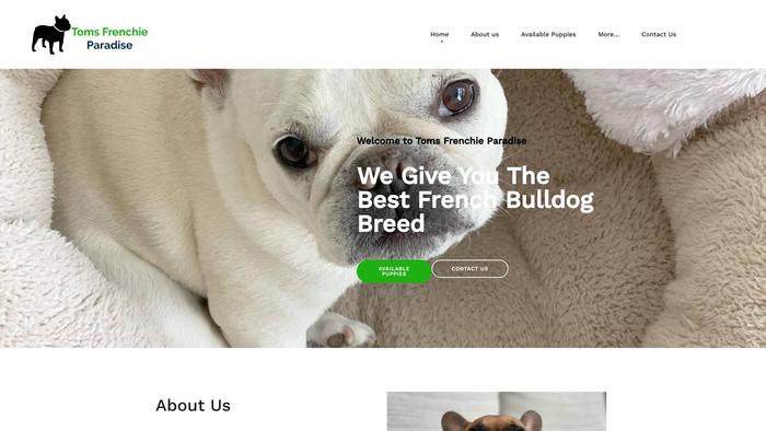 Tomsfrenchiparadise.com - French Bulldog Puppy Scam Review