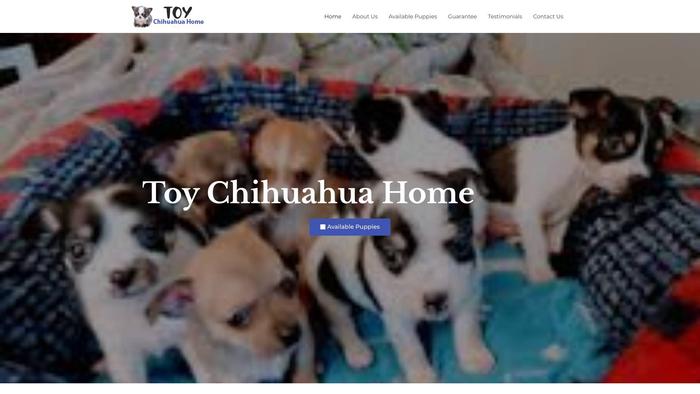 Toychihuahuahome.com - Chihuahua Puppy Scam Review