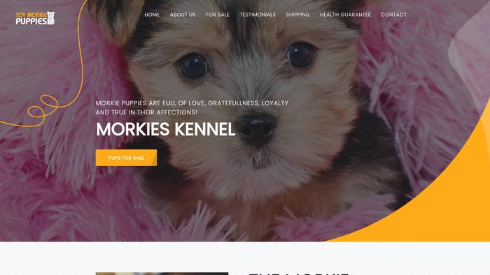 Toymorkiepuppies.com - Yorkshire Terrier Puppy Scam Review