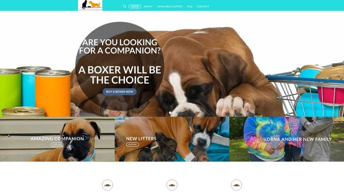 Trainedboxerpuppies.com - Boxer Puppy Scam Review