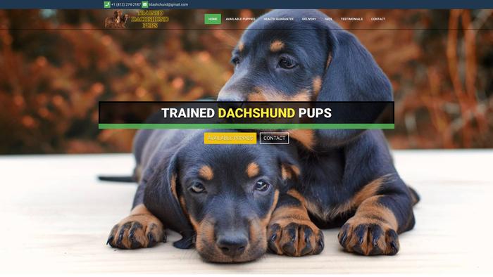 Traineddachshundpups.com - Dachshund Puppy Scam Review