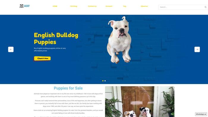 Trainedenglishbulldoghome.com - English Bulldog Puppy Scam Review