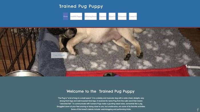 Trainedpugpuppy.com - Pug Puppy Scam Review