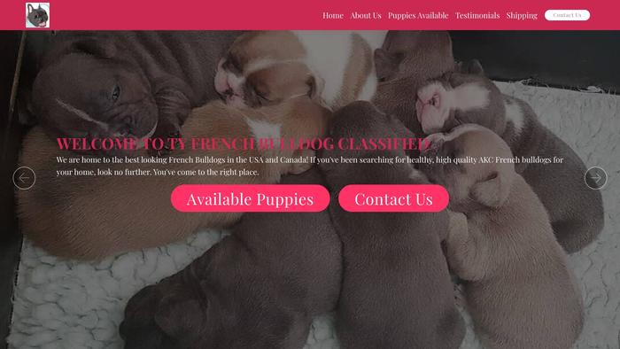 Tybulldogclassifieds.com - Bulldog Puppy Scam Review