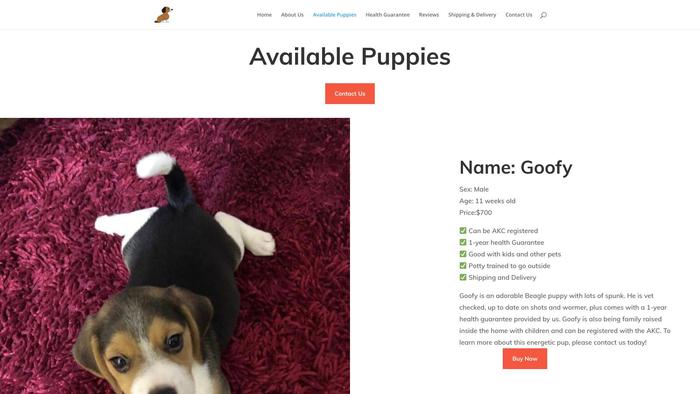 Tylerbeaglepuppies.com - Beagle Puppy Scam Review