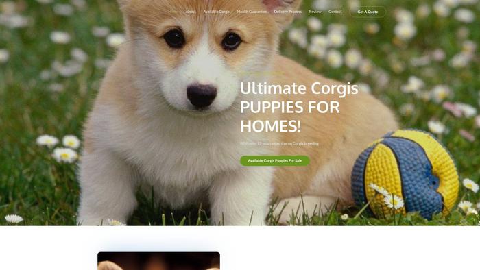 Ultimatecorgis4homess.com - Corgi Puppy Scam Review