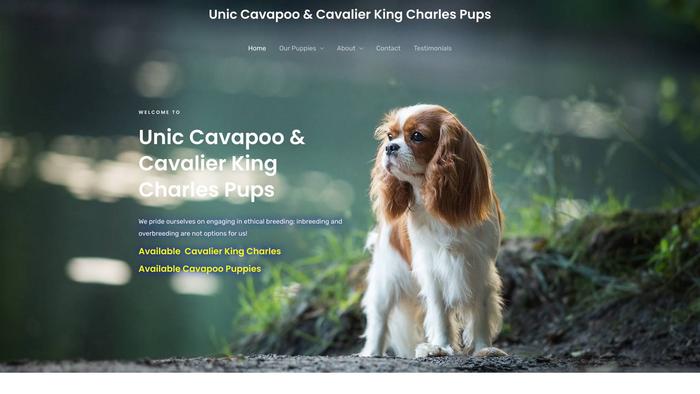 Uniccavapooandcavalierkingcharlespups.com - Cavalier King Charles Spaniel Puppy Scam Review