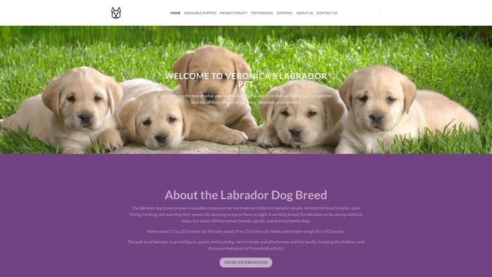 Veronicapethouse.com - Labrador Puppy Scam Review