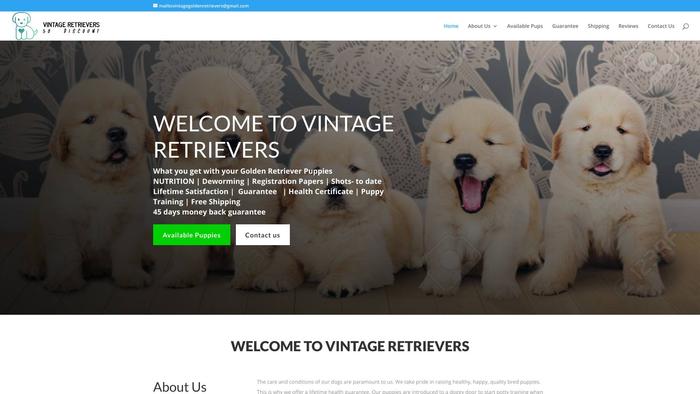 Vintage-retrievers.com - Golden Retriever Puppy Scam Review