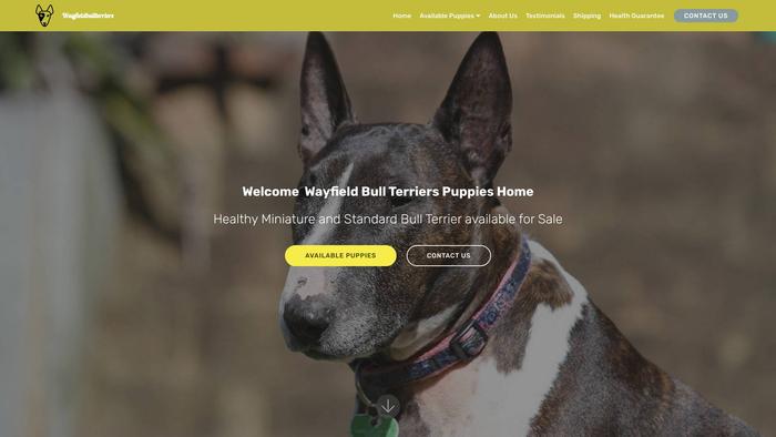 Wayfieldbullterriers.com - Terrier Puppy Scam Review