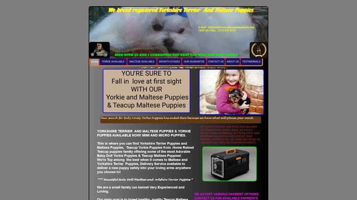 Williamsmalteseyorkiesworld.dog - Maltese Puppy Scam Review