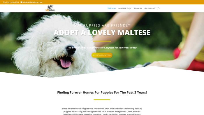 Willsmaltese.com - Bichon Frise Puppy Scam Review