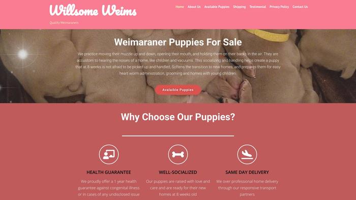 Willsomeweimshomes.com - Spaniel Puppy Scam Review