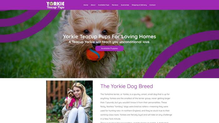 Yorkieteacuppups.com - Yorkshire Terrier Puppy Scam Review