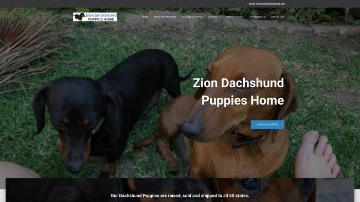 Ziondachhunds.com - Dachshund Puppy Scam Review