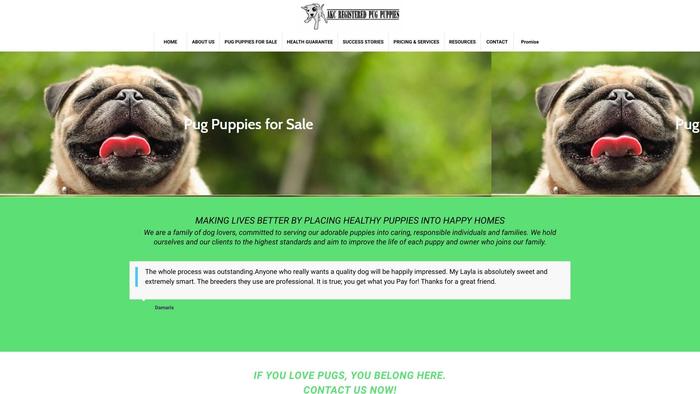 Acelandakcpugpuppies.com - Pug Puppy Scam Review