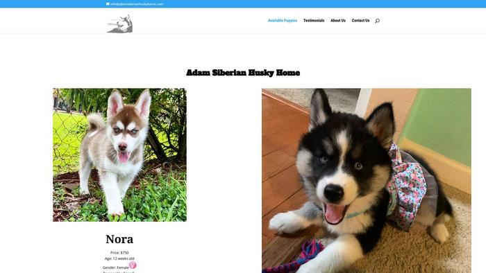 Adamsiberianhuskyhome.com - Husky Puppy Scam Review