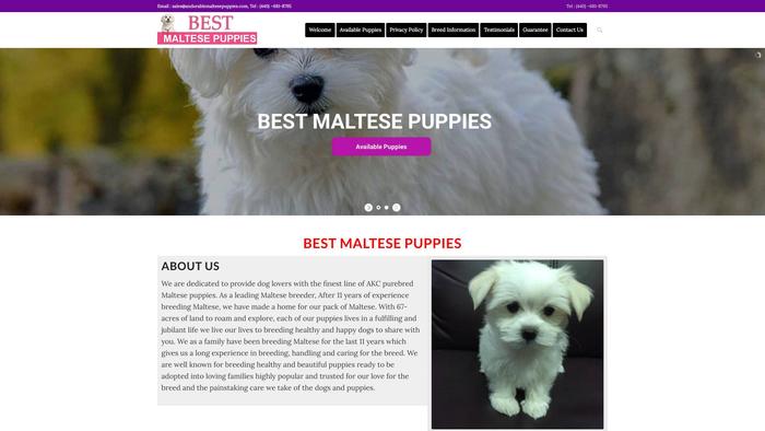 Adorablemaltesepuppies.com - Maltese Puppy Scam Review