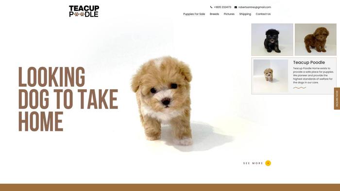 Adorableteacuppoodle.com - Poodle Puppy Scam Review