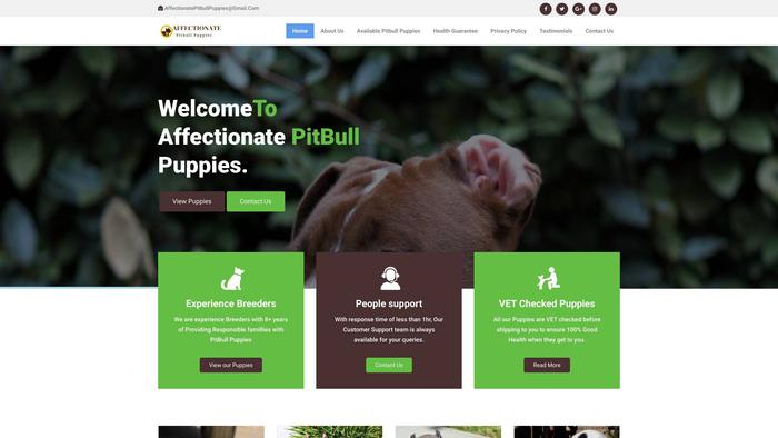 Affectionatepitbullpuppies.com - Pit Bull Puppy Scam Review