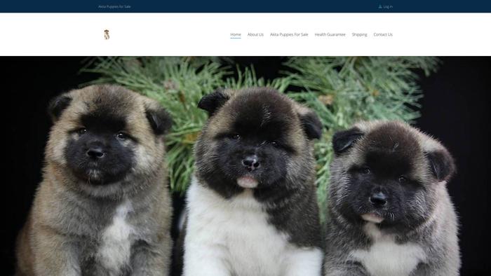 Akitadogbreed.com - Akita Puppy Scam Review