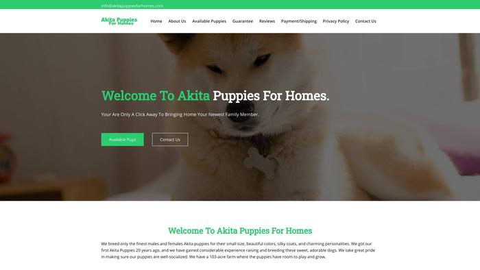 Akitapuppiesforhomes.com - Akita Puppy Scam Review