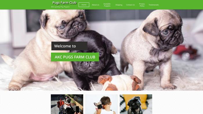 Alexispugsfarm.com - Pug Puppy Scam Review