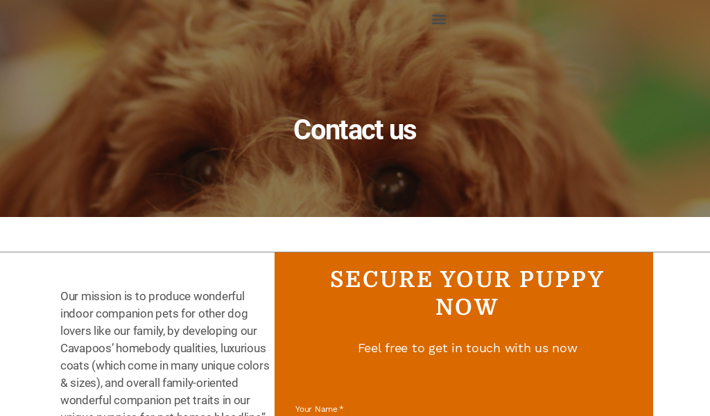 Allisoncavapoopuppies.com - Cavapoo Puppy Scam Review