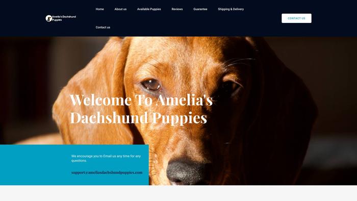 Ameliasdachshundpuppies.com - Dachshund Puppy Scam Review