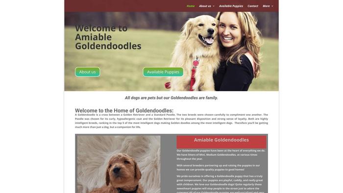 Amiablegoldendoodles.online - Golden Doodle Puppy Scam Review