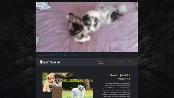 Astonishingshelties.com - Sheltie Puppy Scam Review