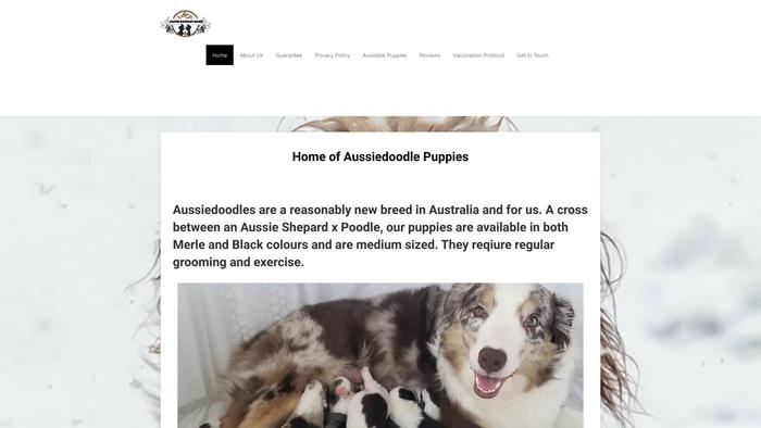 Aussidoodleshome.com - Labradoodle Puppy Scam Review