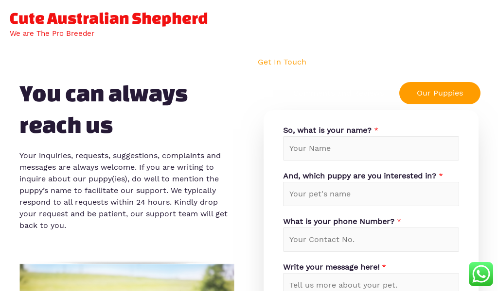 Australianshepherdfarm.com - Germanshepherd Puppy Scam Review