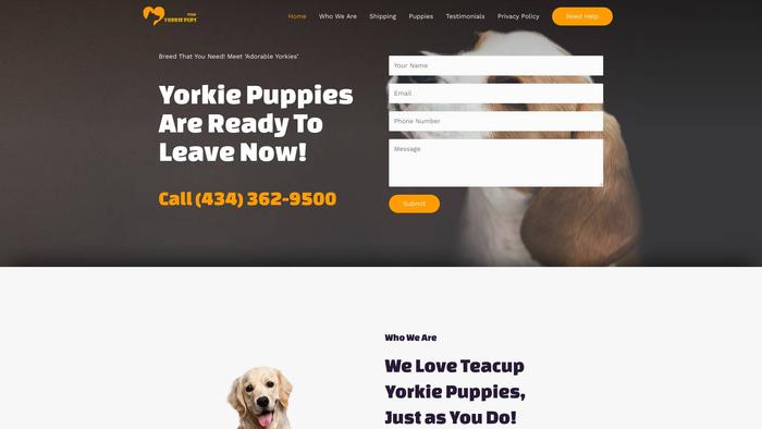 Awesometcupyorkiepups.com - Yorkshire Terrier Puppy Scam Review