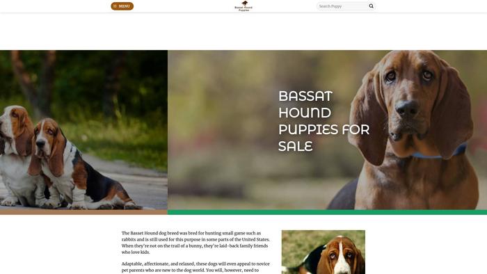 Bassathoundpuppies.com - Bassethound Puppy Scam Review