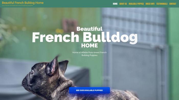 Beautifulfrenchbulldoghome.com - French Bulldog Puppy Scam Review