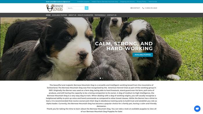 Berneselovers.com - Bernese Mountain Dog Puppy Scam Review