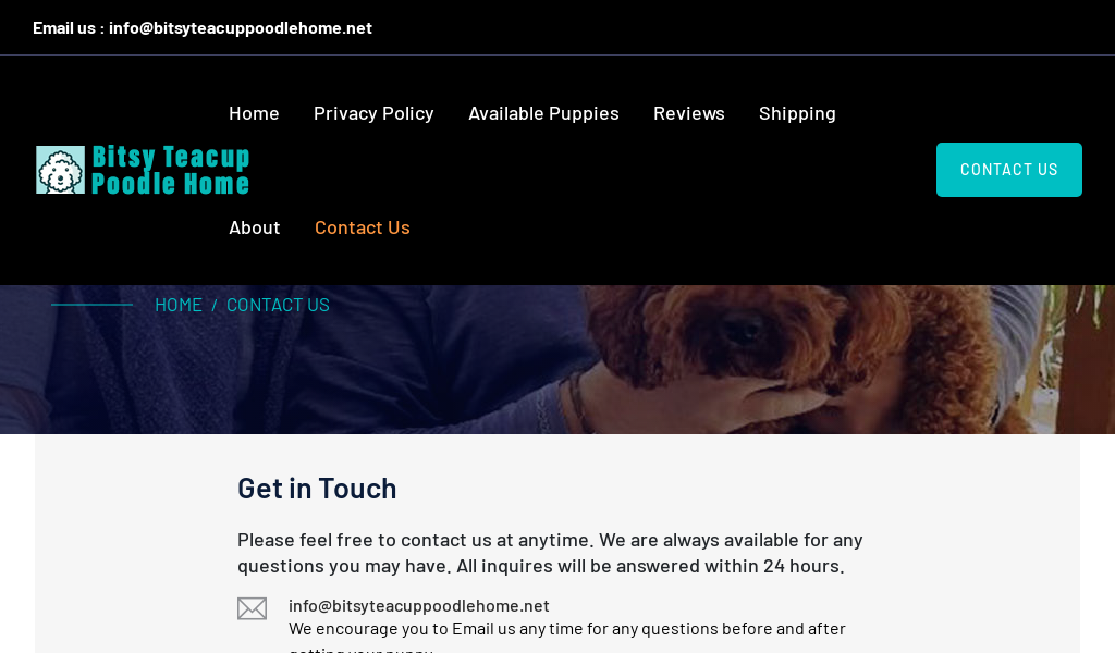 Bitsyteacuppoodlehome.net - Poodle Puppy Scam Review