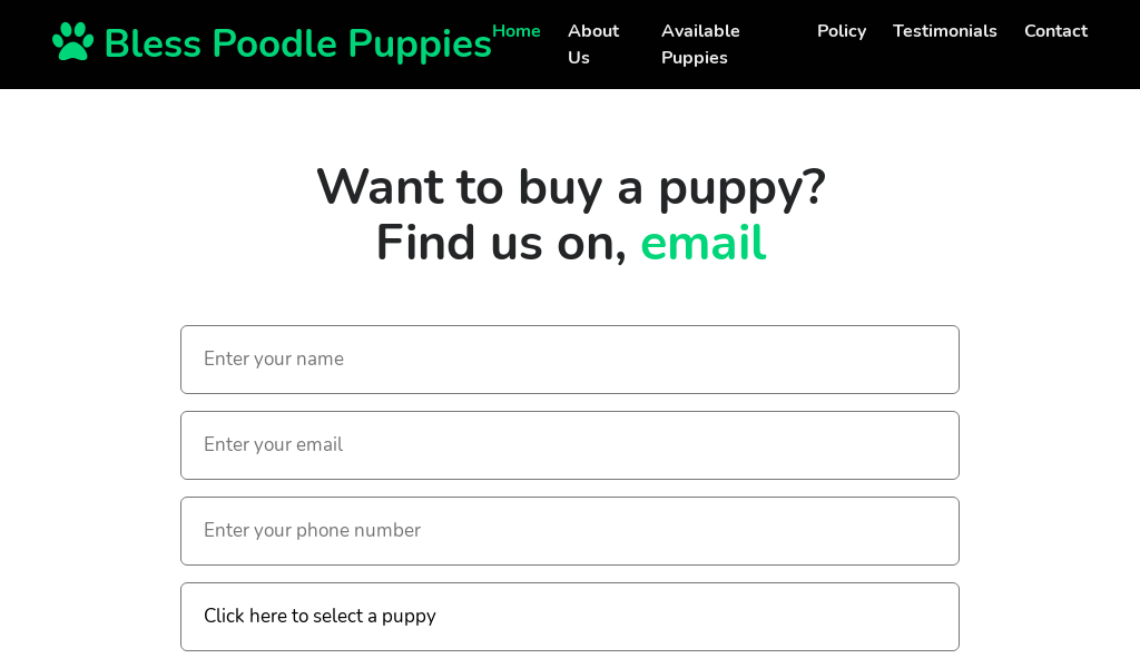 Blesspoodlehome.com - Poodle Puppy Scam Review