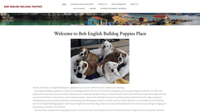 Bobenglishbulldogsplace.site - English Bulldog Puppy Scam Review