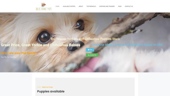 Bolisyorkiepups.com - Yorkshire Terrier Puppy Scam Review