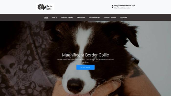 Bordercolliepuppieshome.com - Bordercollie Puppy Scam Review