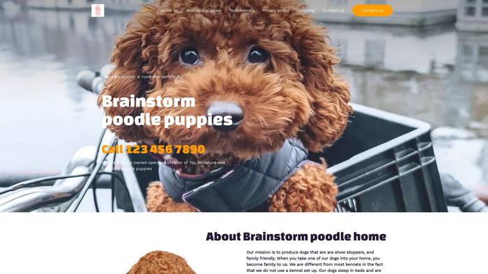 Brainstormpoodle.com - Poodle Puppy Scam Review