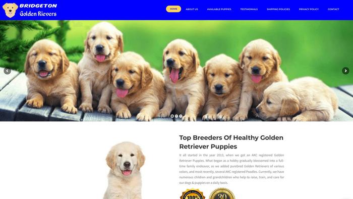 Bridgetongoldenretrievers.com - Golden Retriever Puppy Scam Review