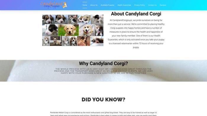 Candylandcorgipups.com - Corgi Puppy Scam Review