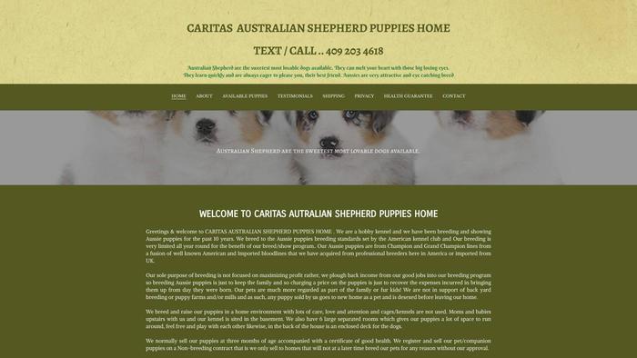 Caritasaussie.com - Australian Shepherd Puppy Scam Review