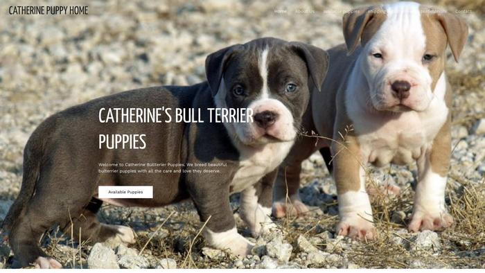 Catherinebullterrierpuppies.com - Terrier Puppy Scam Review