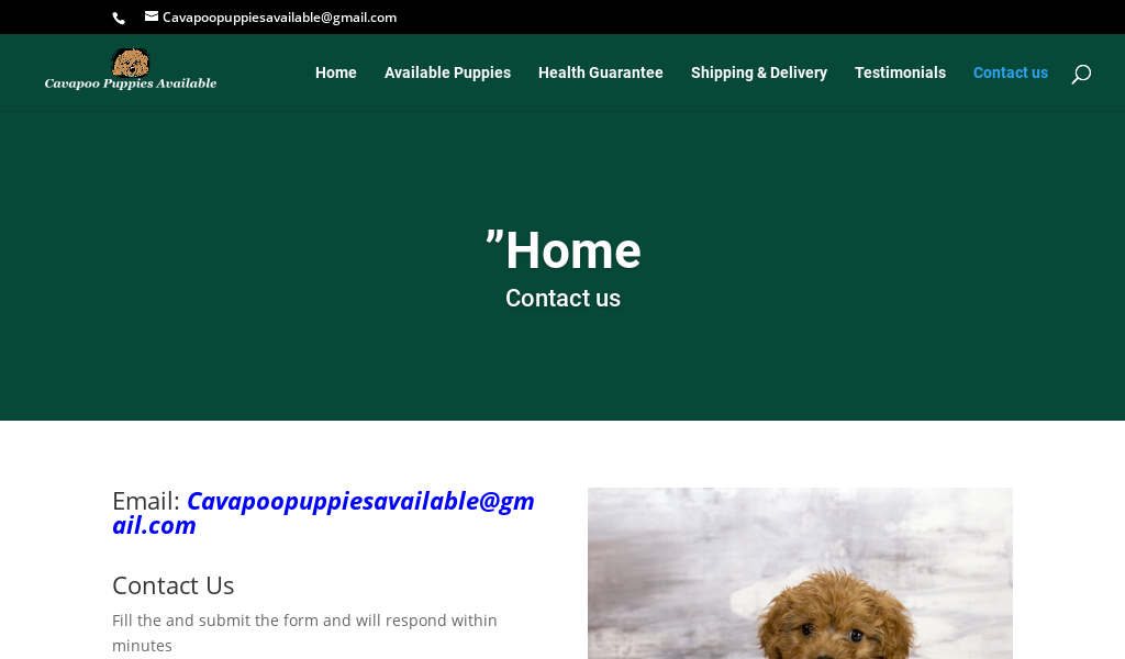 Cavapoopuppiesavailable.cc - Cavapoo Puppy Scam Review