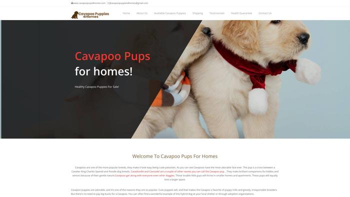 Cavapoopups4homes.com - Cavapoo Puppy Scam Review