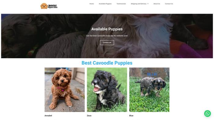 Cavoodlepuppieshome.store - Cavapoo Puppy Scam Review